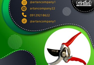 قیچی هرس تایوانی ارزان | بررسی مشخصات و قیمت روز